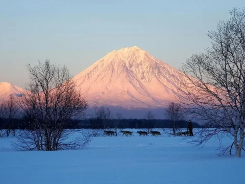 Корякский — действующий вулкан на Камчатке