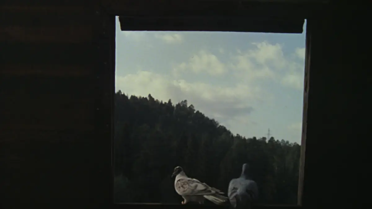 Места съемок фильма «Любовь и голуби»