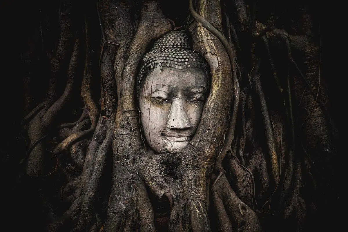 Голова Будды в корнях дерева в Таиланде