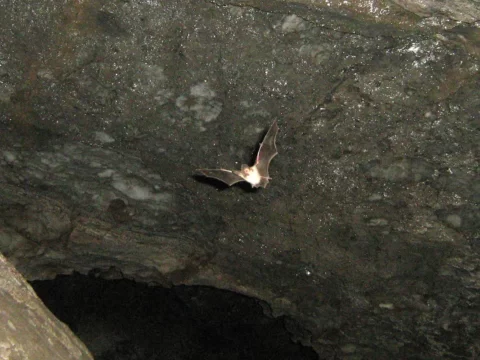 Пещера «Подарок», Беляевский район, Оренбургская область